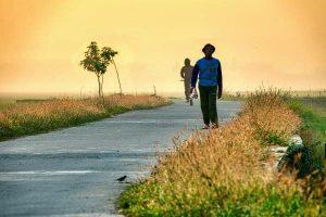 plan-walking-route